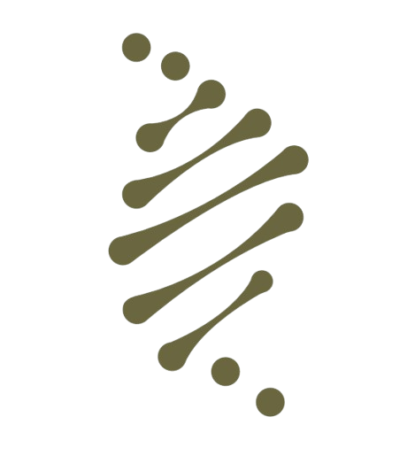 HealthHacks Icon
